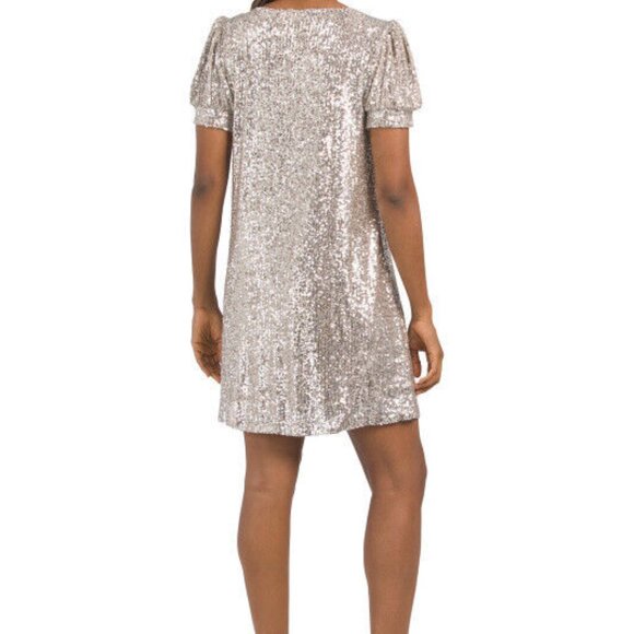 Cable & Gauge NWT Silver Champagne Sequin glittery dress - fabulous! Medium M - Picture 3 of 7